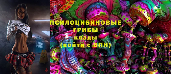 индика Вязники